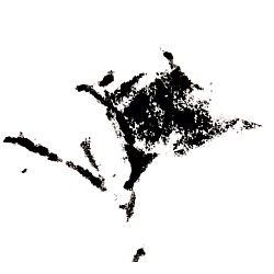 پرنده یا گل