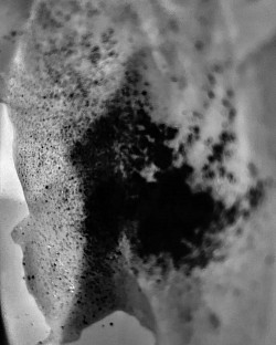 WHAT REMAINS